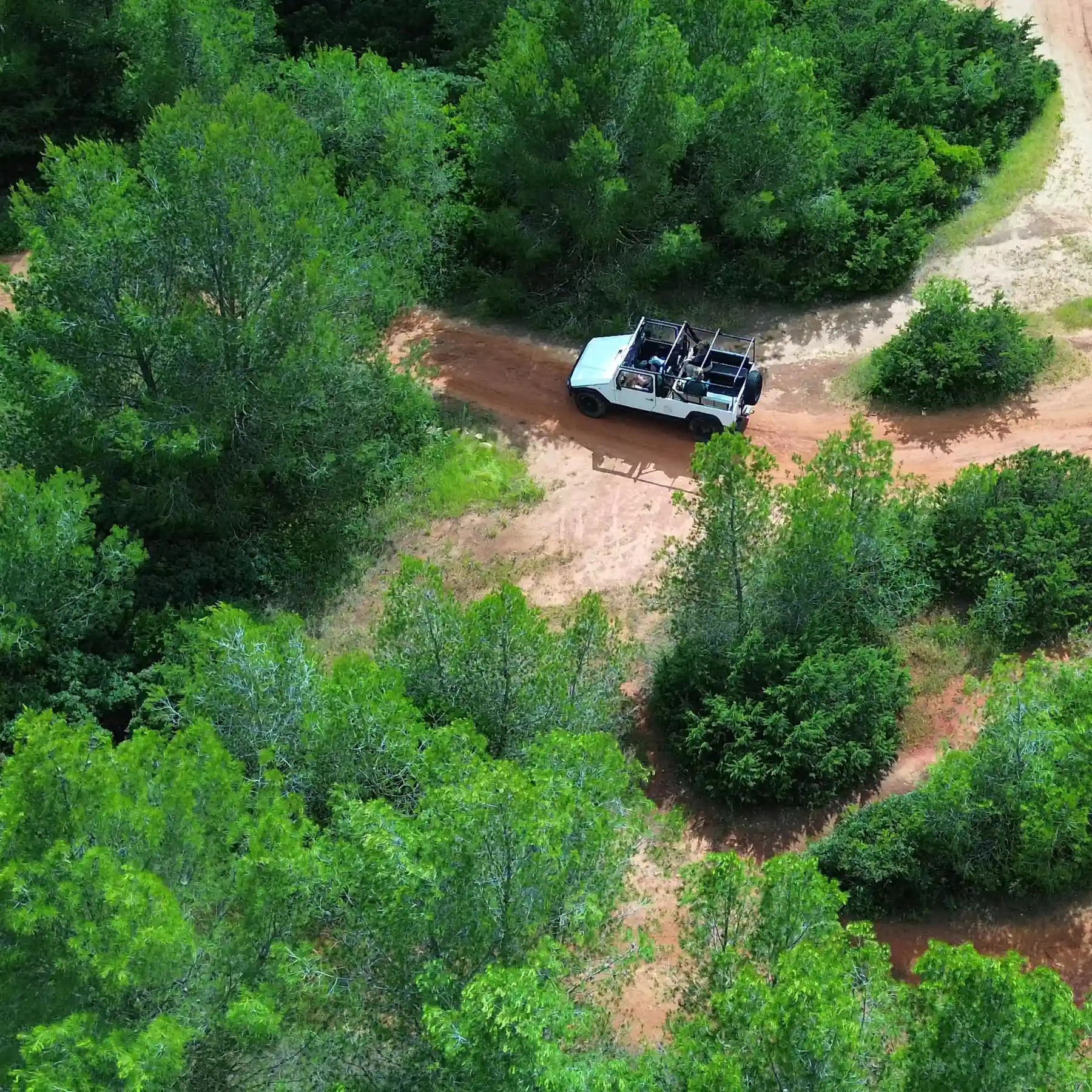 Open jeep on a green track toward the coast