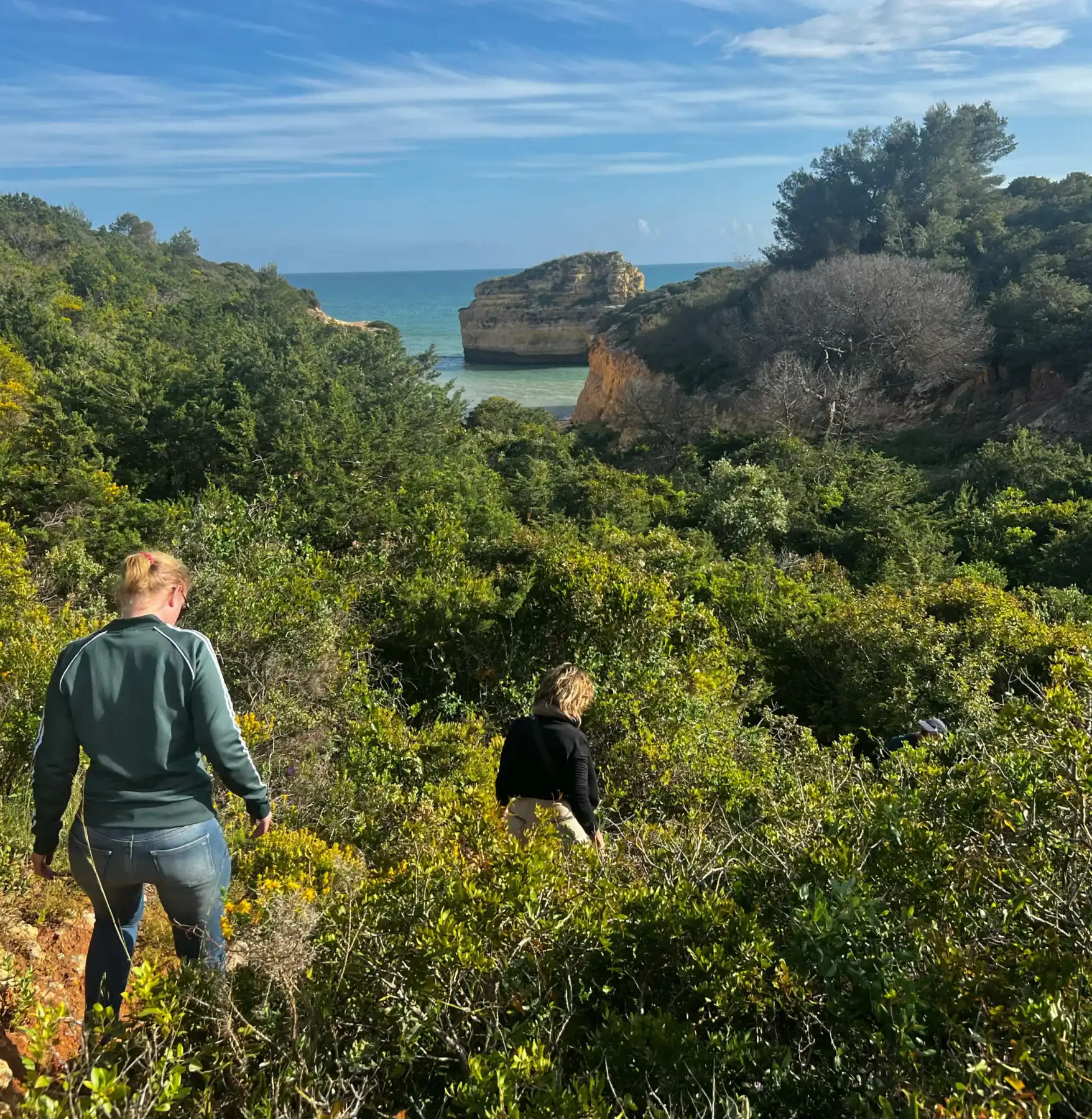 Guests walking through coastal scrub toward the Atlantic
